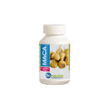 MACA AMARILLA 120 UND