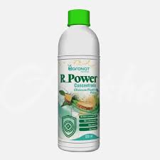 R POWER BOT 500 ML