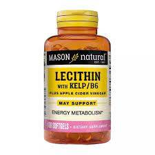 LECITHIN WITH KELP/B6 PLUS APPLE CIDER VINEGAR 100 SOFGELS