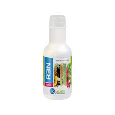 R3N 700 ML