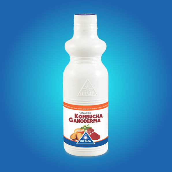 KOMBUCHA
